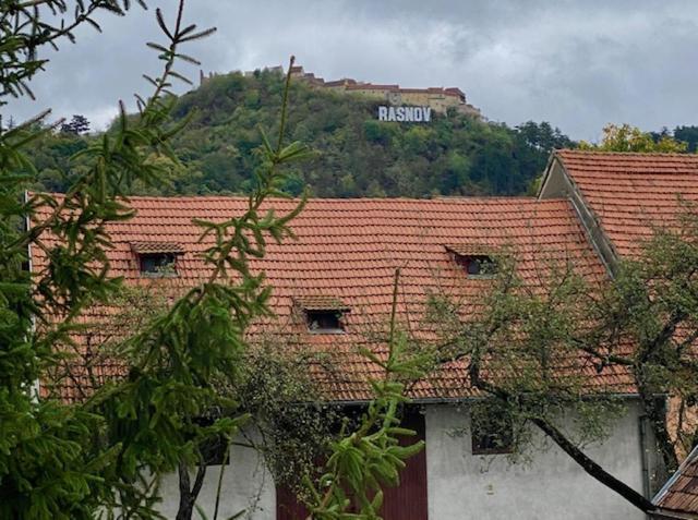 Pensiunea Casa Saxonia Rîşnov Exterior foto