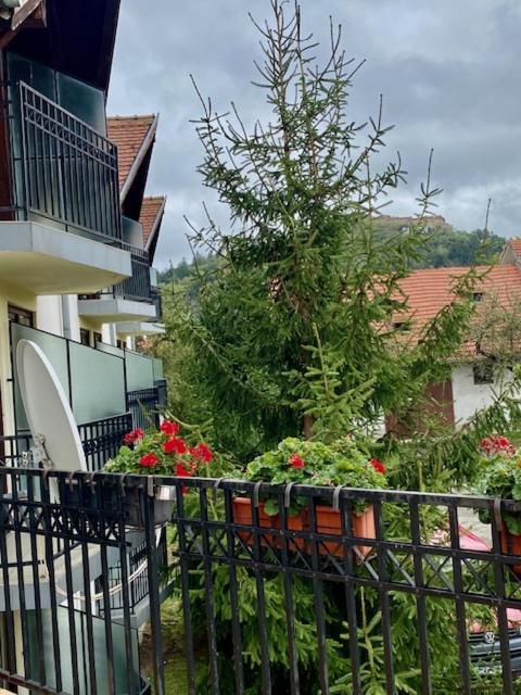 Pensiunea Casa Saxonia Rîşnov Exterior foto
